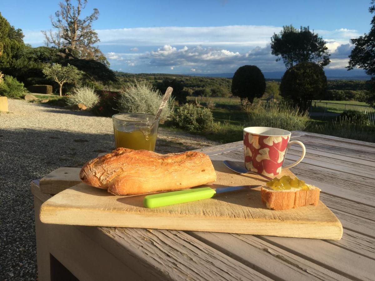 Chateau De Villeneuve - Montolieu 외부 사진